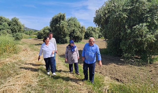 Türkarslan Gökçeada&#039;da projeleri inceledi