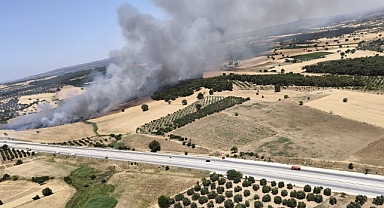 Çanakkale Valiliği'nden orman yangını uyarısı