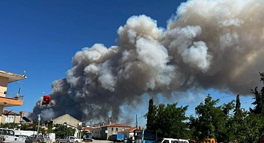 Eceabat'ta orman yangını