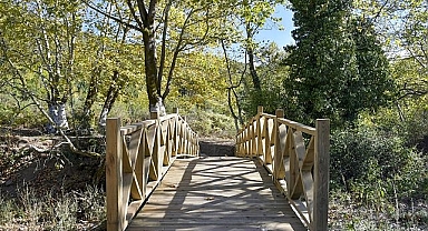 Geçici olarak ziyarete kapatıldı