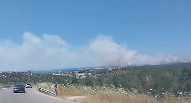 Ezine'deki yangın söndürüldü