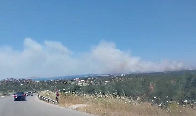 Ezine&#039;deki yangın söndürüldü