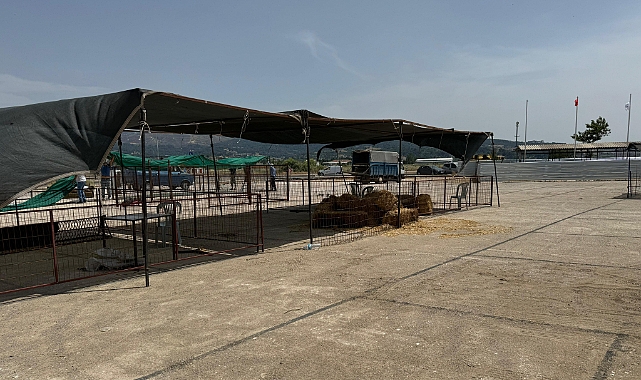 Kurban satış alanı hazır hale getirildi