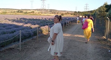 Lavanta Festivali ilgi çekiyor