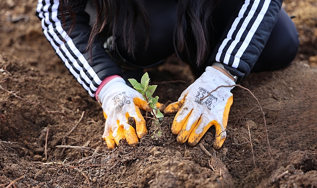 Uludağ Elektrik&#039;ten ağaçlandırma seferberliği