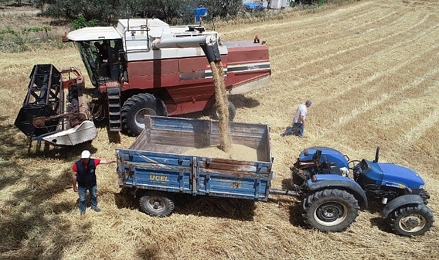 Yerli ve milli tohumlardan üretilen arpalar hasat edildi