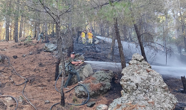Çanakkale Valiliği&#039;nden orman yangınlarına karşı uyarı