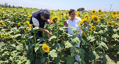 Kumkale Köyü'nde ekim alanlarını inceledi
