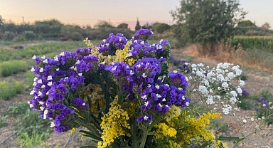 ÇOMÜ ile yeşeren proje
