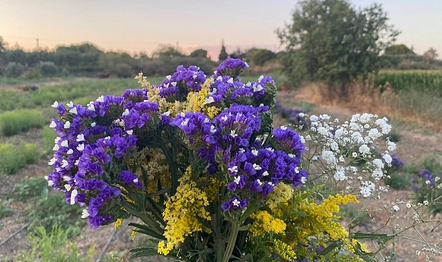 ÇOMÜ ile yeşeren proje