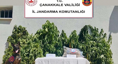 Jandarmadan uyuşturucu operasyonu