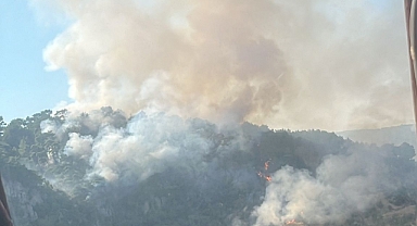 Orman yangını söndürüldü