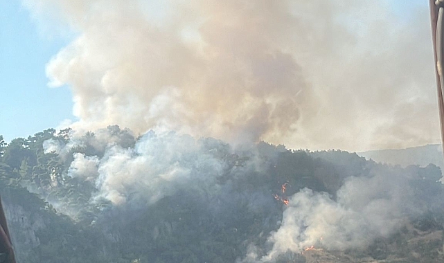 Orman yangını söndürüldü