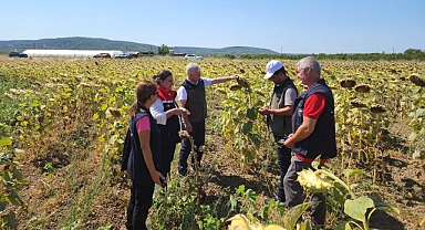 Tarımda yerli ve milli hamle