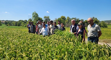 Üreticilere önemli destek