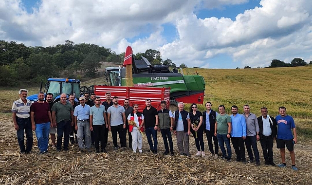 Çeltik tarımında su tasarrufu