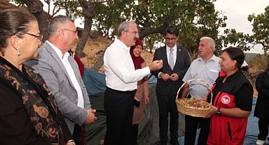Şapköy'de sezonun ilk hasadı yapıldı
