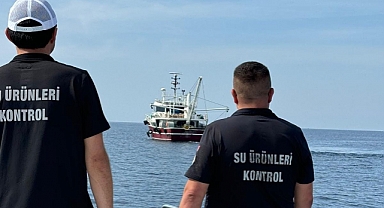 Su ürünleri denetimleri sürüyor