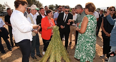 Yerli ve milli yeni çeşitler üreticilere sunuldu