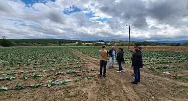 Türkarslan, dolu yağışından etkilenen tarım arazilerini inceledi