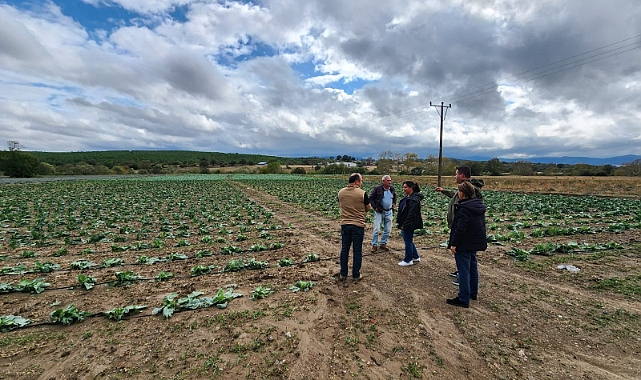 Türkarslan, dolu yağışından etkilenen tarım arazilerini inceledi