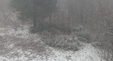 Çan'ın yüksek kesimleri beyaza büründü