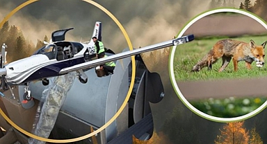 Kuduz hastalığına karşı stratejik mücadele