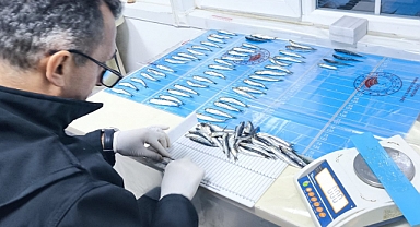 Ayvacık bölgesinde önemli çalışma