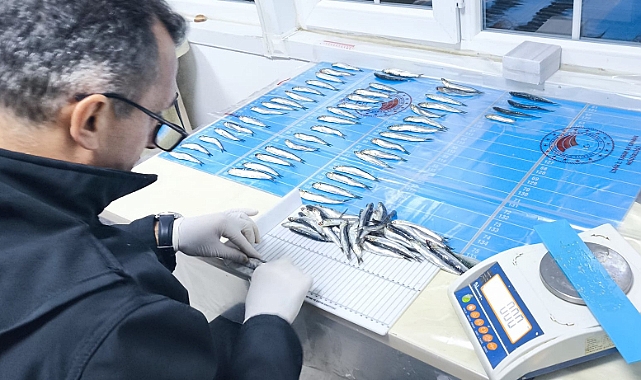 Ayvacık bölgesinde önemli çalışma