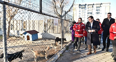 Başkan Erkek'ten inceleme