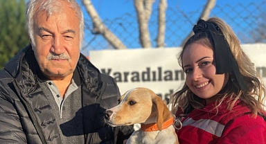 Sokak hayvanları için çalışmalar devam ediyor