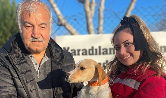 Sokak hayvanları için çalışmalar devam ediyor