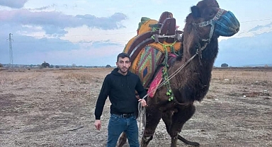 Deve güreşleri öncesi bir kişi silahla vurularak öldürüldü! Deve güreşleri iptal edildi!