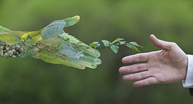 TİKA ve ÇOMÜ iş birliği sürüyor