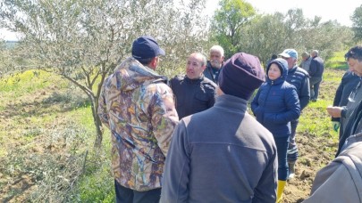 Üreticilere budama ve aşılama eğitimi