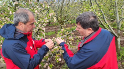 Hasar tespit çalışmaları sürüyor