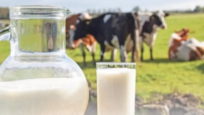 6689 yetiştiriciye destek