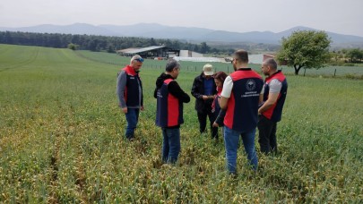 Tarım ekipleri üreticilerle buluşuyor