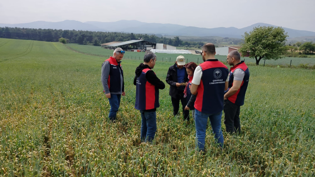 Tarım ekipleri üreticilerle buluşuyor