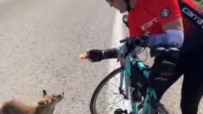 Murat Tecimen'in antrenmanına tilki sürprizi