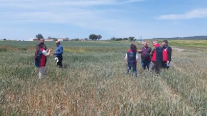 Ekili alanlarda inceleme