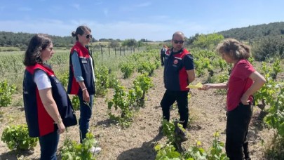 Bozcaada’da organik tarım denetimi yapıldı