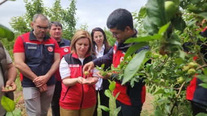 Meyve bahçelerinde tedbirler görüşüldü