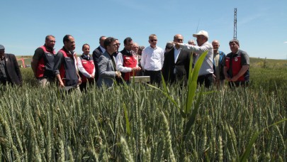 Gelibolu’da Tarla Günü düzenlendi