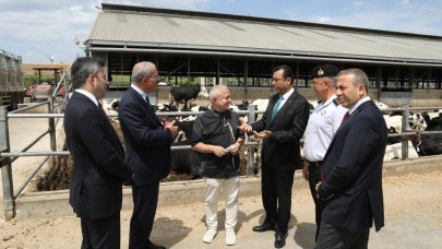 Vali Toraman Ezine’de