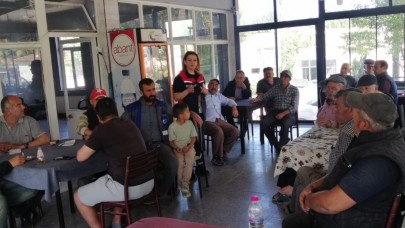 Hasat öncesi pestisit denetimi!