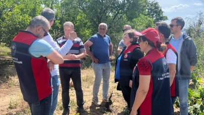 Tarım ekipleri sahada