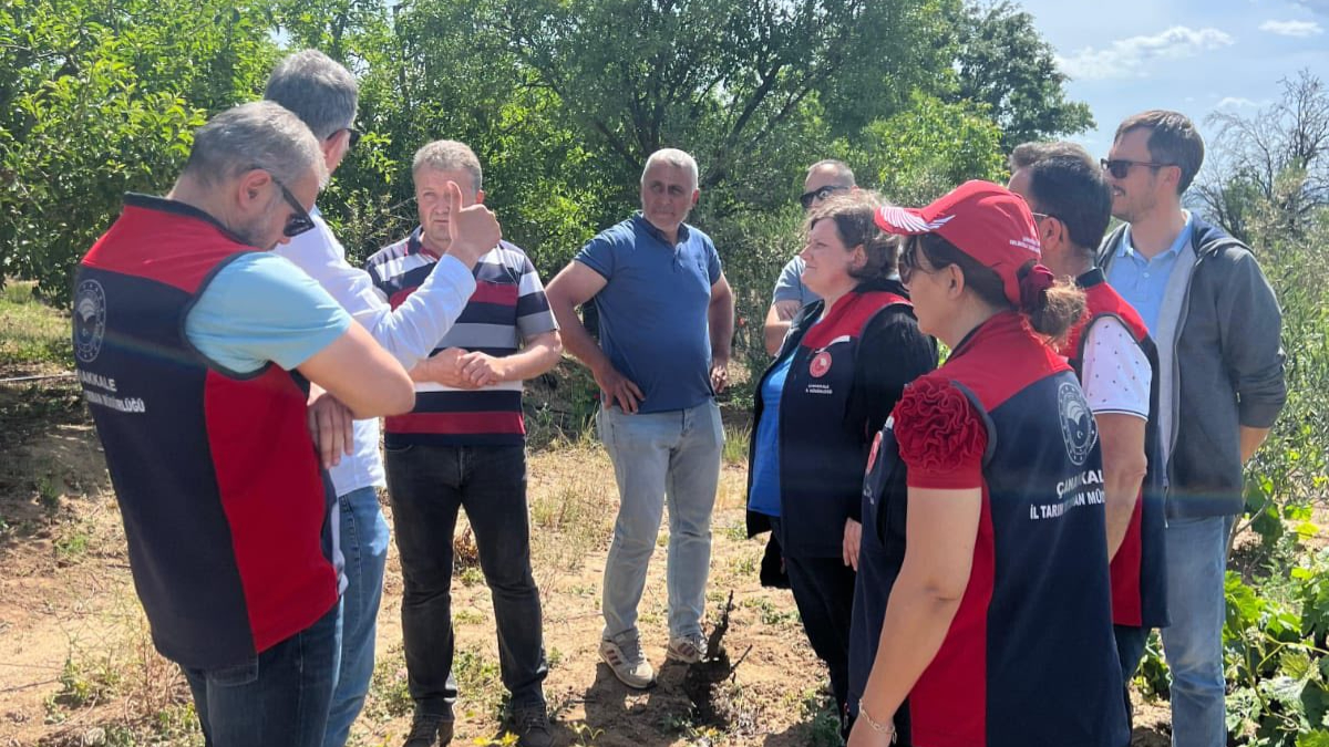 Tarım ekipleri sahada