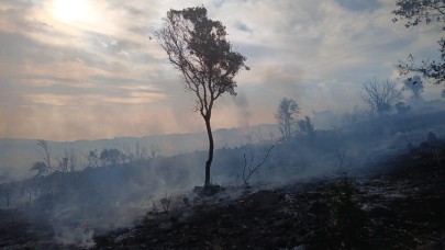Yangın söndürüldü