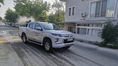 Karasinek ve sivrisinek ile mücadele sürüyor